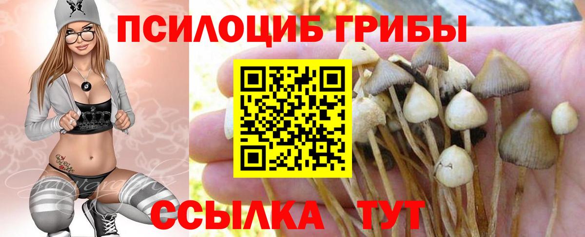 Галлюциногенные грибы Cubensis Дмитров