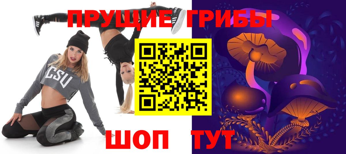 Дмитров  Псилоцибиновые грибы мухоморы  Вход с VPN 