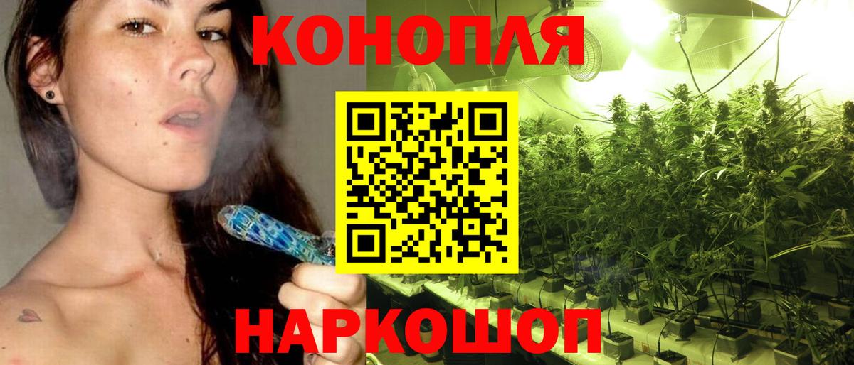 Дмитров  Каннабис планчик  Вход с VPN  Бошки Шишки THC 21%  Бошки Шишки Bruce Banner 